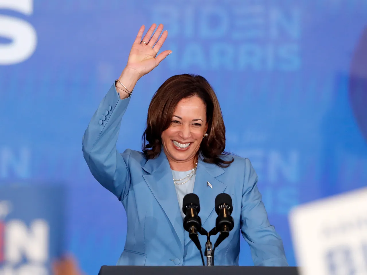 Hitchens Kamala Harris Makes Her Case