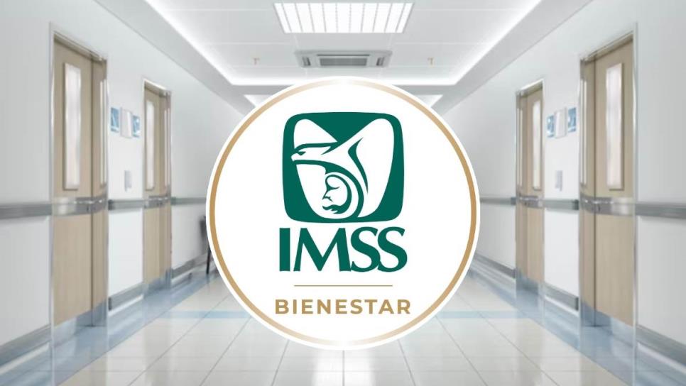 imss bienestar 1 focus 0 0 966 544