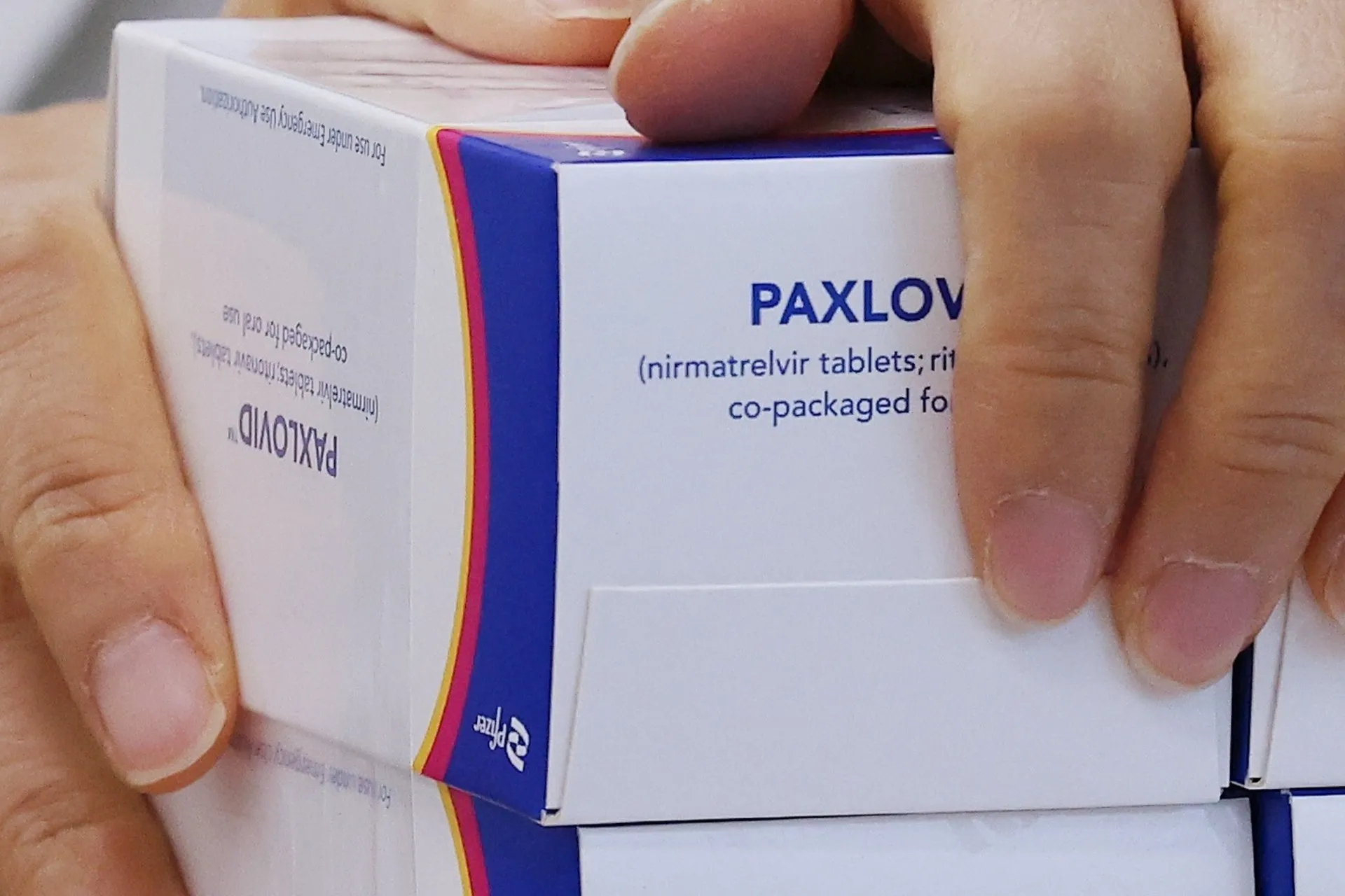 paxlovid pfizer medicamento anticovid