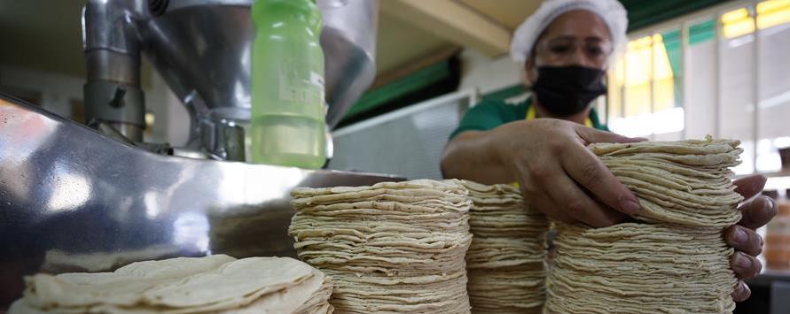 inflacion amarga la produccion de tortillas de maiz de