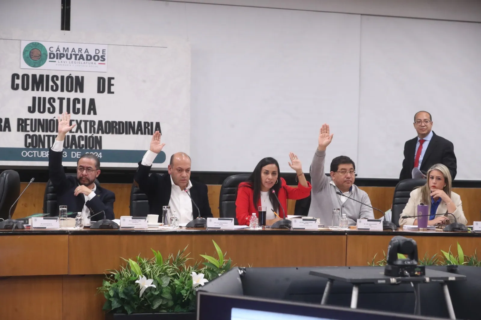 leyes secundarias camara de diputados reforma judicial